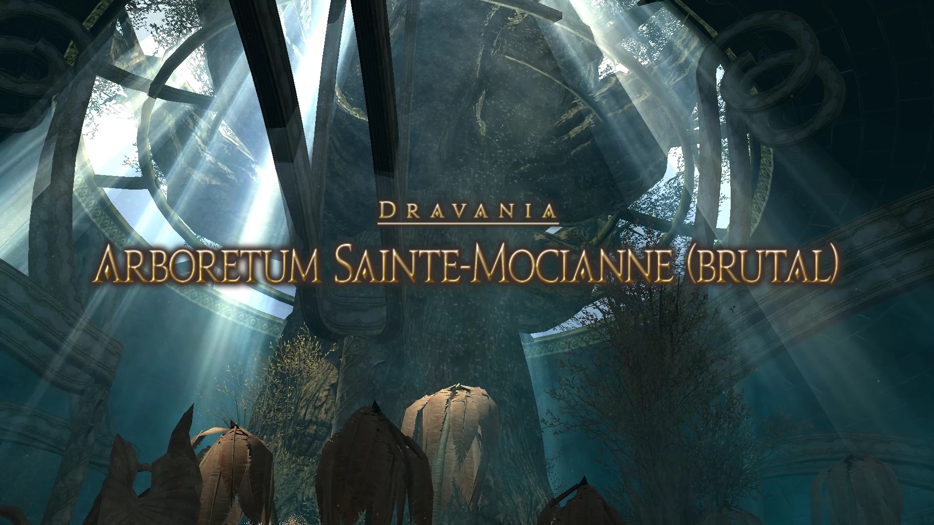Guide Donjon : L&rsquo;Arboretum Sainte-Mocianne (Brutal)