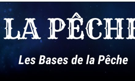 Tutoriel : Les Bases de la Pêche