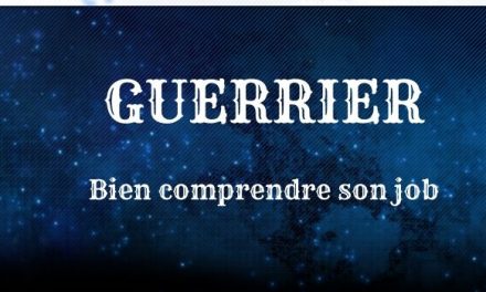 Guide Guerrier : Explications des compétences et des combos