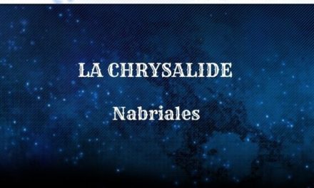 Guide : La Chrysalide