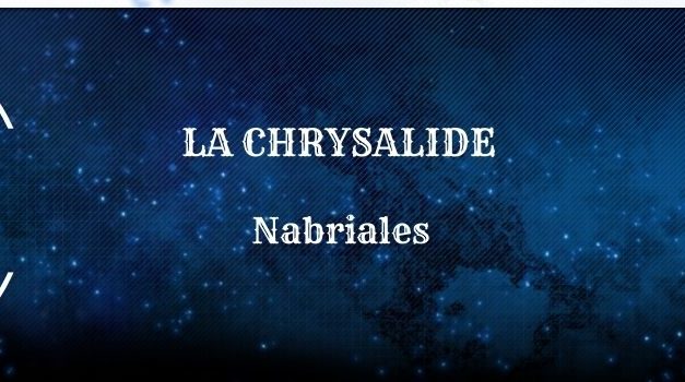 Guide : La Chrysalide