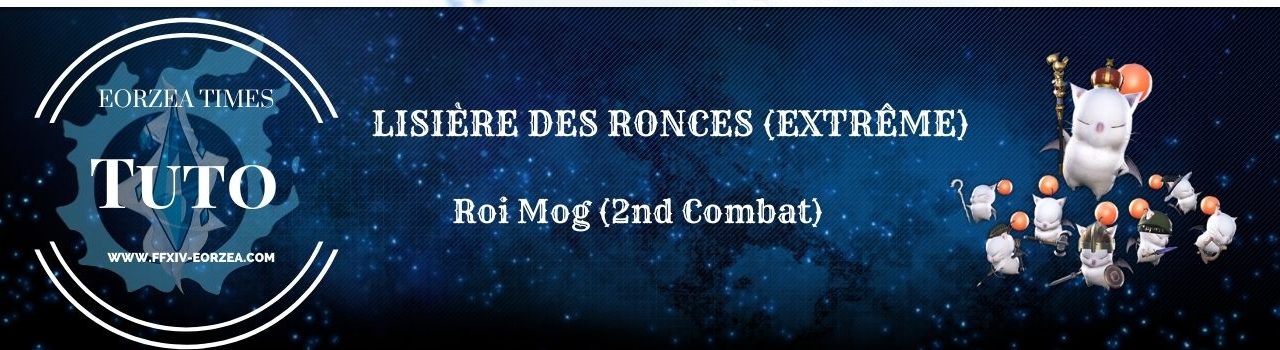 Guide : La Lisière des Ronces (Roi Mog Extrême)