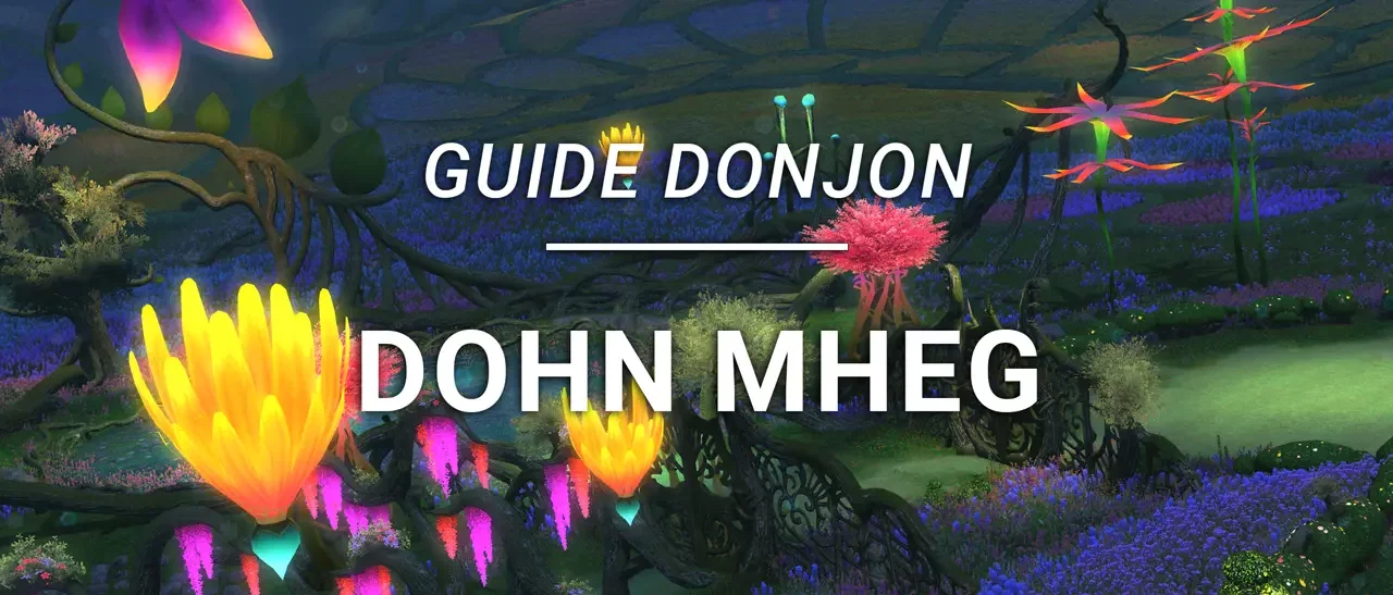 Guide Donjon – Dohn Mheg