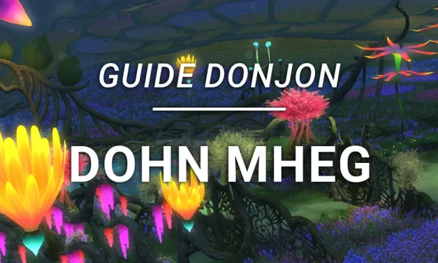 Guide Donjon – Dohn Mheg