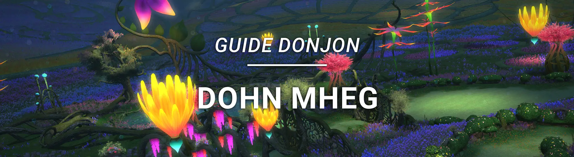 Guide Donjon – Dohn Mheg