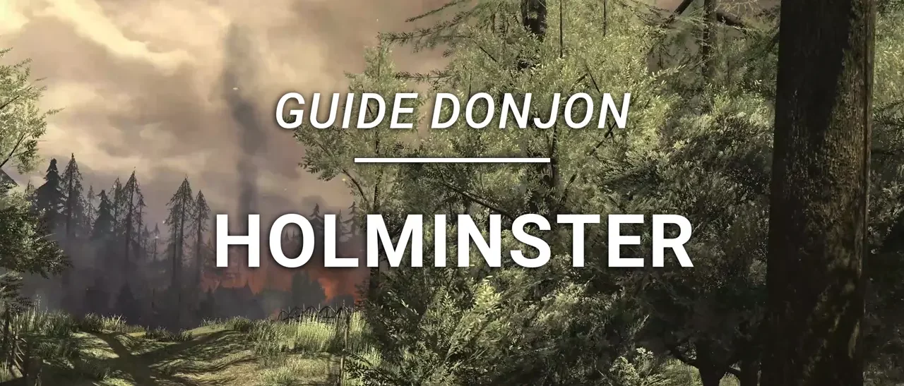 Guide Donjon – Holminster