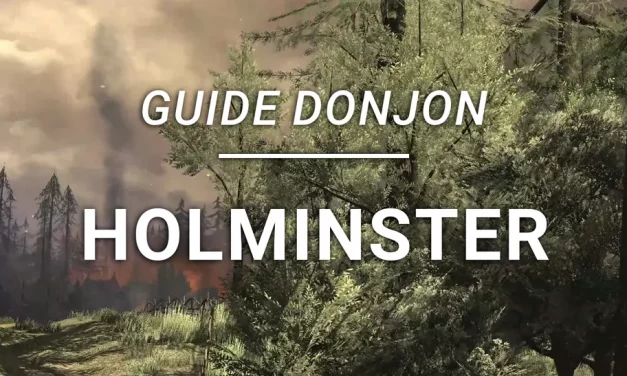 Guide Donjon – Holminster