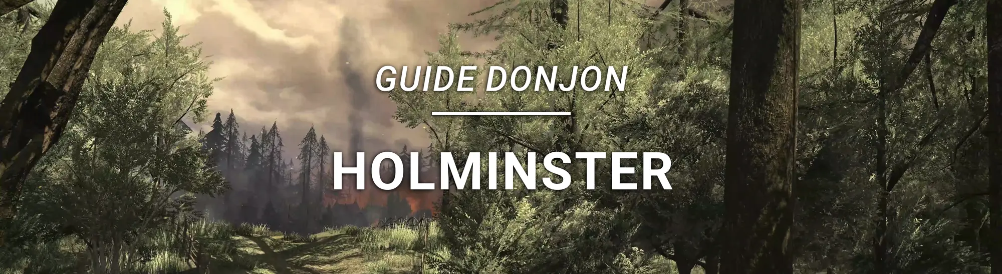Guide Donjon – Holminster