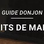 Guide Donjon – Le Puits de Malikah