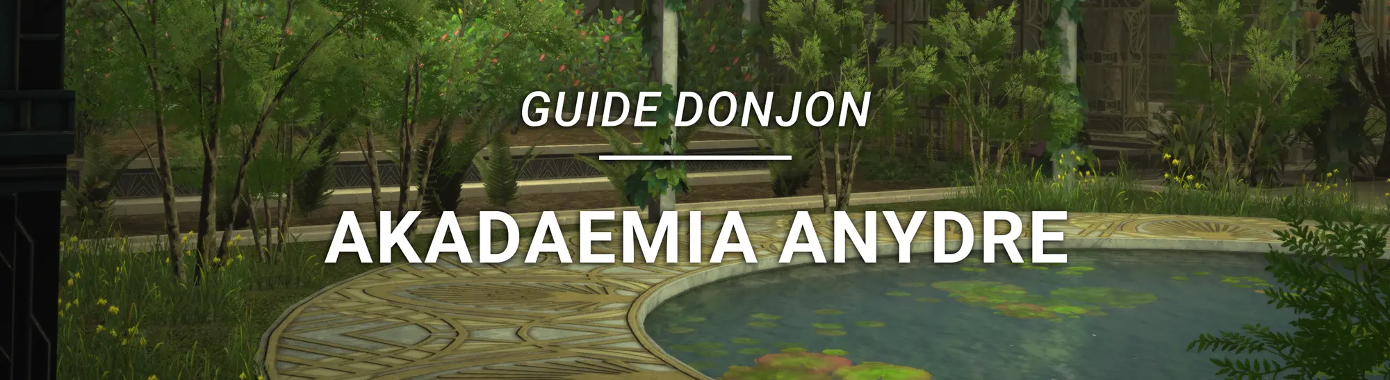 Guide Donjon – Akadaemia Anydre