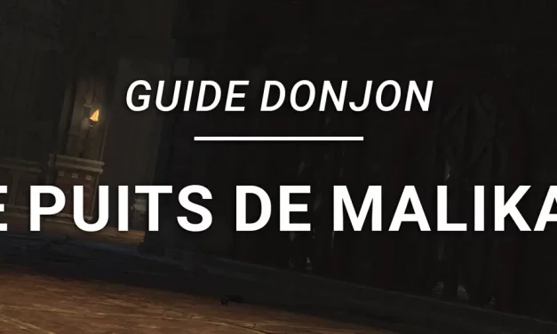 Guide Donjon – Le Puits de Malikah