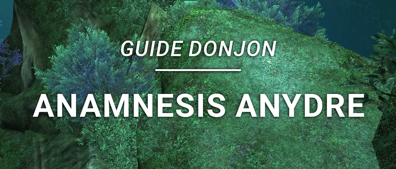 Guide Donjon – Anamnesis Anydre