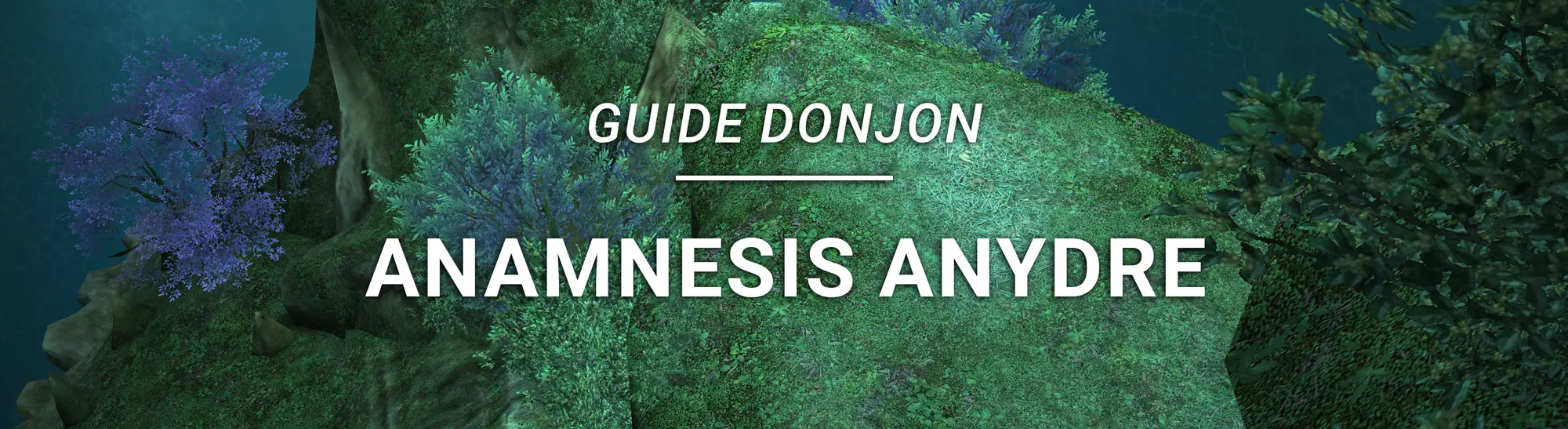 Guide Donjon – Anamnesis Anydre
