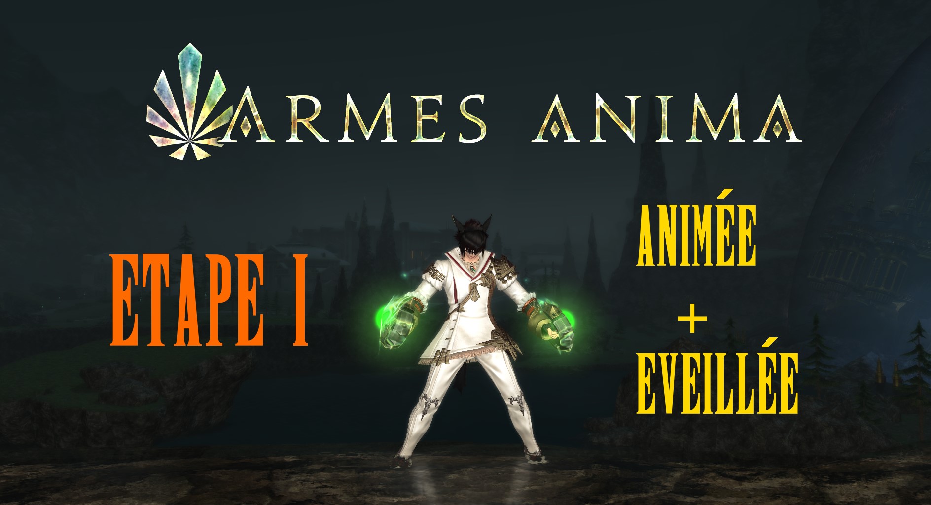 Saga des Armes Animas : Etape 1 : Animée + Eveillée