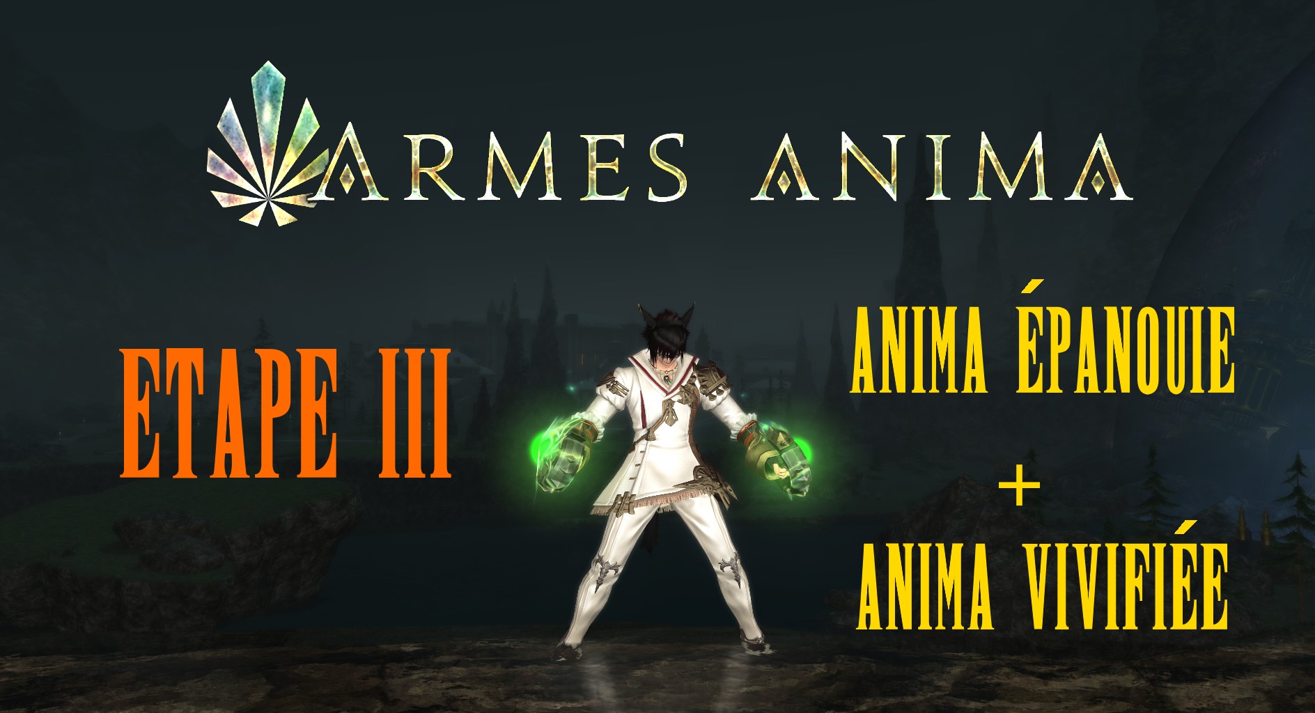 Saga des Armes Animas : Etape 3 : Anima Epanouie + Anima Vivifiée