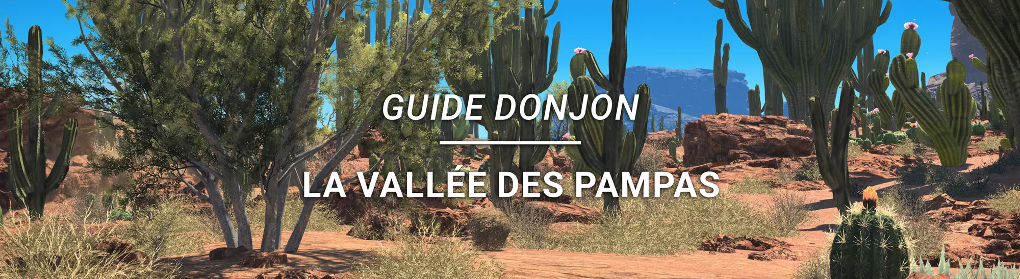 Guide Donjon – La Vallée des Pampas