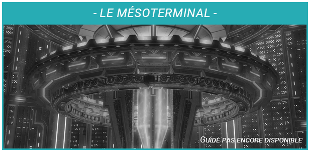 Guide Miniature -Le Mésoterminal - Non Dispo