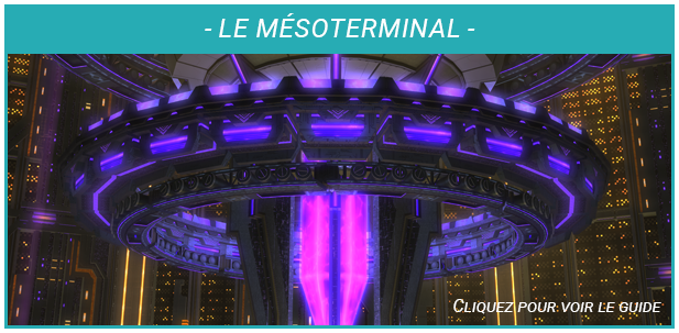 Guide Miniature -Le Mésoterminal