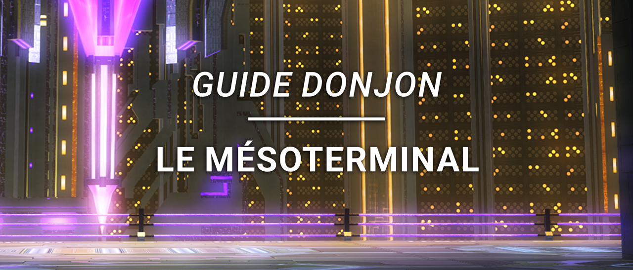 Guide Donjon – Le Mésoterminal