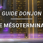 Guide Donjon – Le Mésoterminal