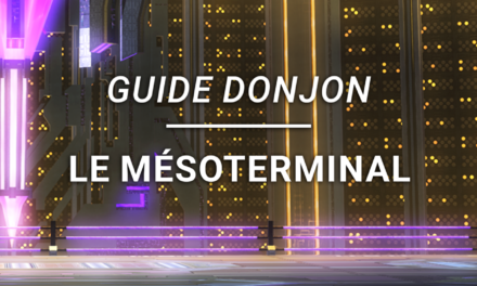 Guide Donjon – Le Mésoterminal