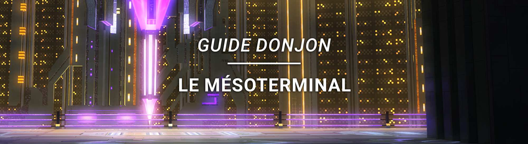 Guide Donjon – Le Mésoterminal