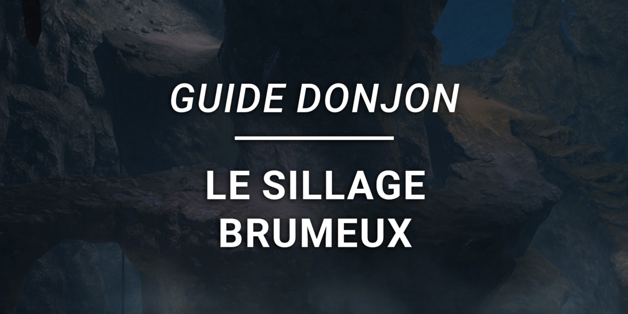 Guide Donjon – Le Sillage Brumeux