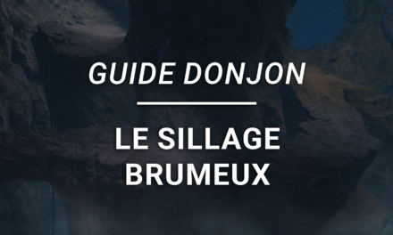 Guide Donjon – Le Sillage Brumeux