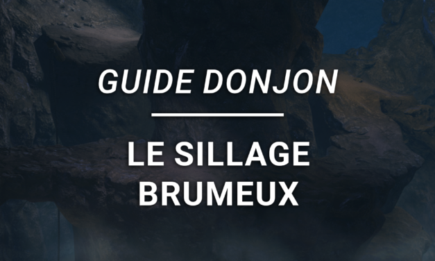 Guide Donjon – Le Sillage Brumeux