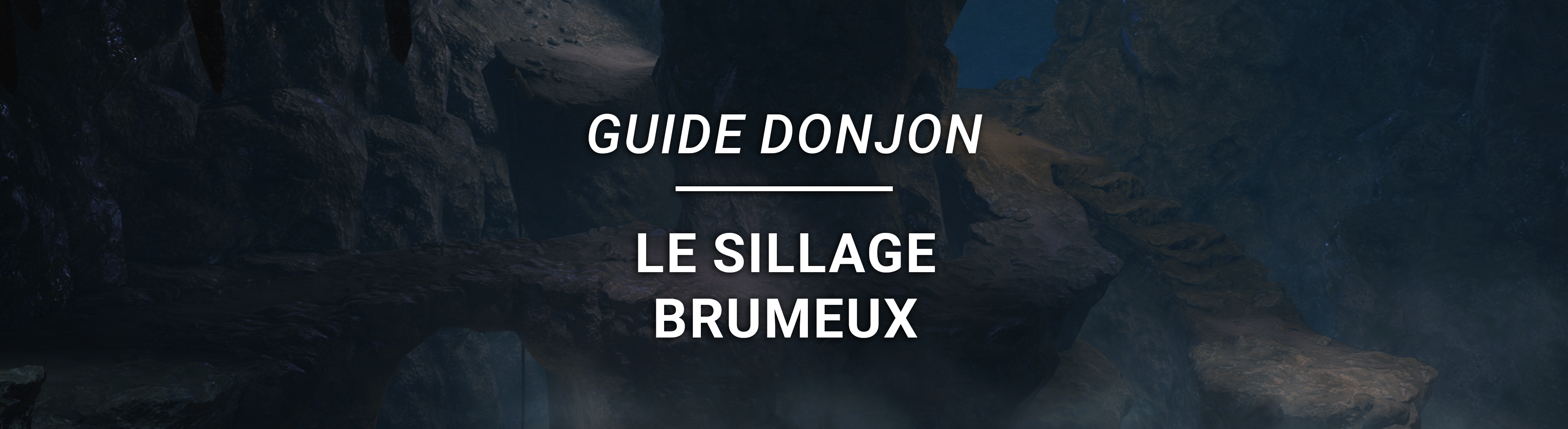 Guide Donjon – Le Sillage Brumeux
