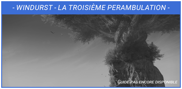 Guide Raid 24 - La Troisième Préambulation - Non Disponible