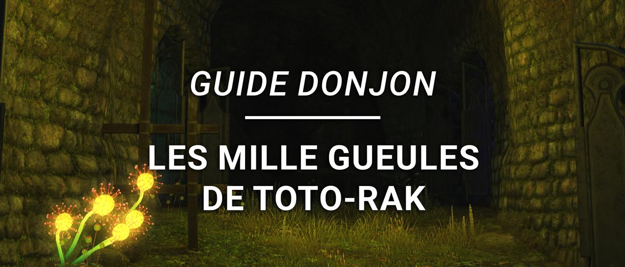 Guide Donjon – Les Mille Gueules de Toto-Rak