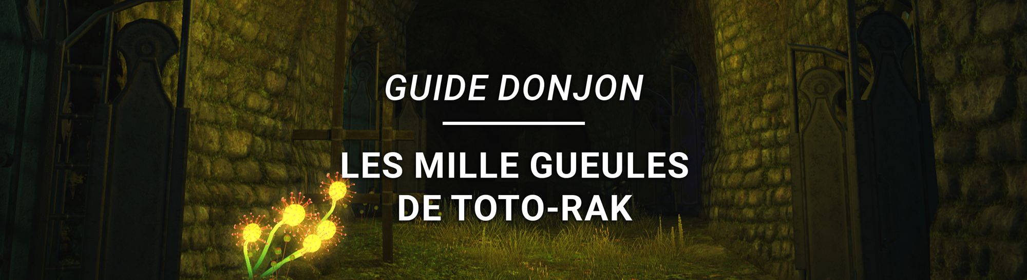 Guide Donjon – Les Mille Gueules de Toto-Rak