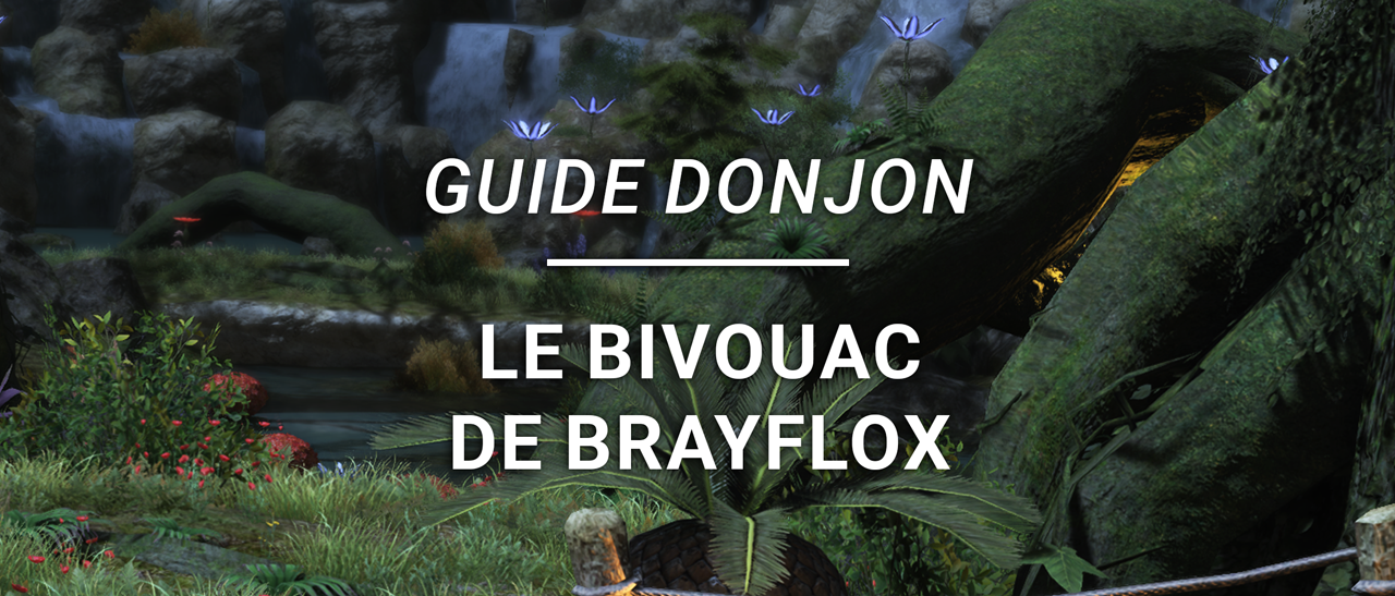 Guide Donjon – Le Bivouac de Brayflox