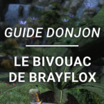 Guide Donjon – Le Bivouac de Brayflox