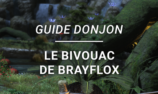 Guide Donjon – Le Bivouac de Brayflox