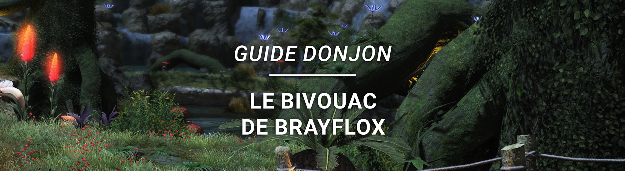 Guide Donjon – Le Bivouac de Brayflox