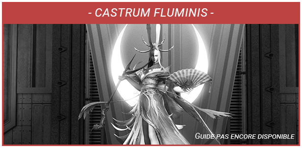 Guide Castrum Fluminis - Non Disponible